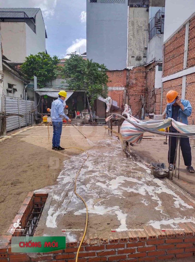 công tác phòng chống mối